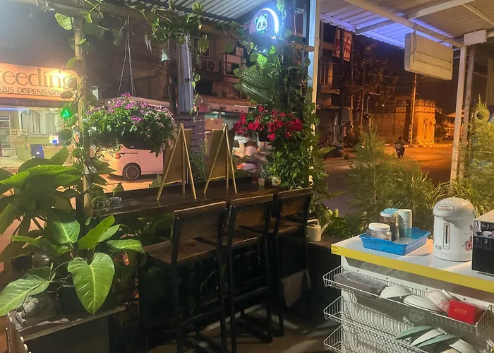 Chiang Mai Panda Hostel