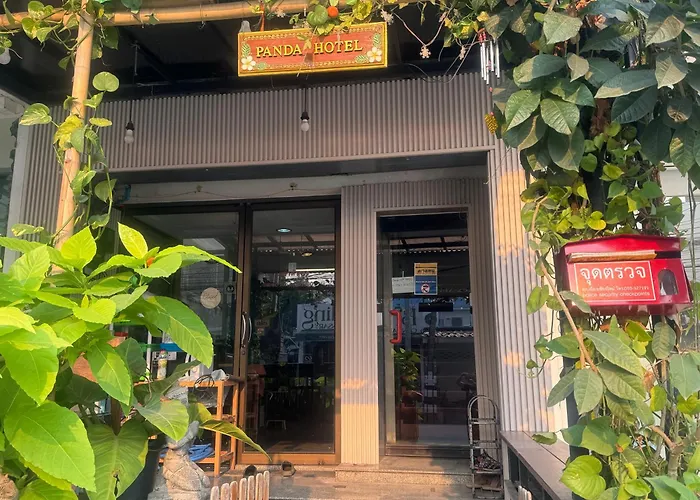 Chiang Mai Panda Hostel