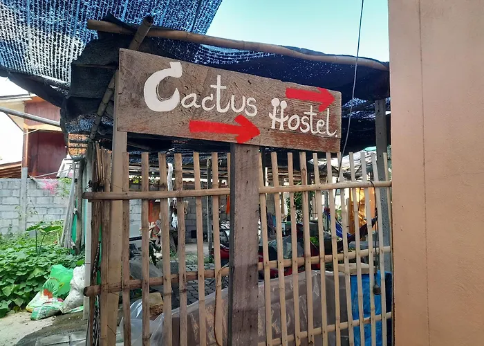 Cactus Hostel เชียงใหม่